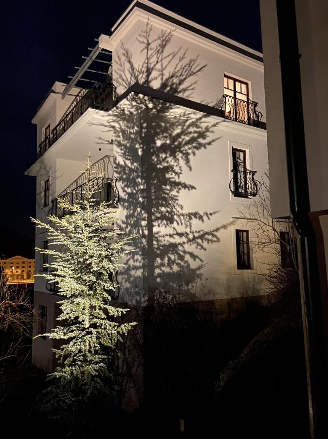 Vila Maister ツェリェ エクステリア 写真